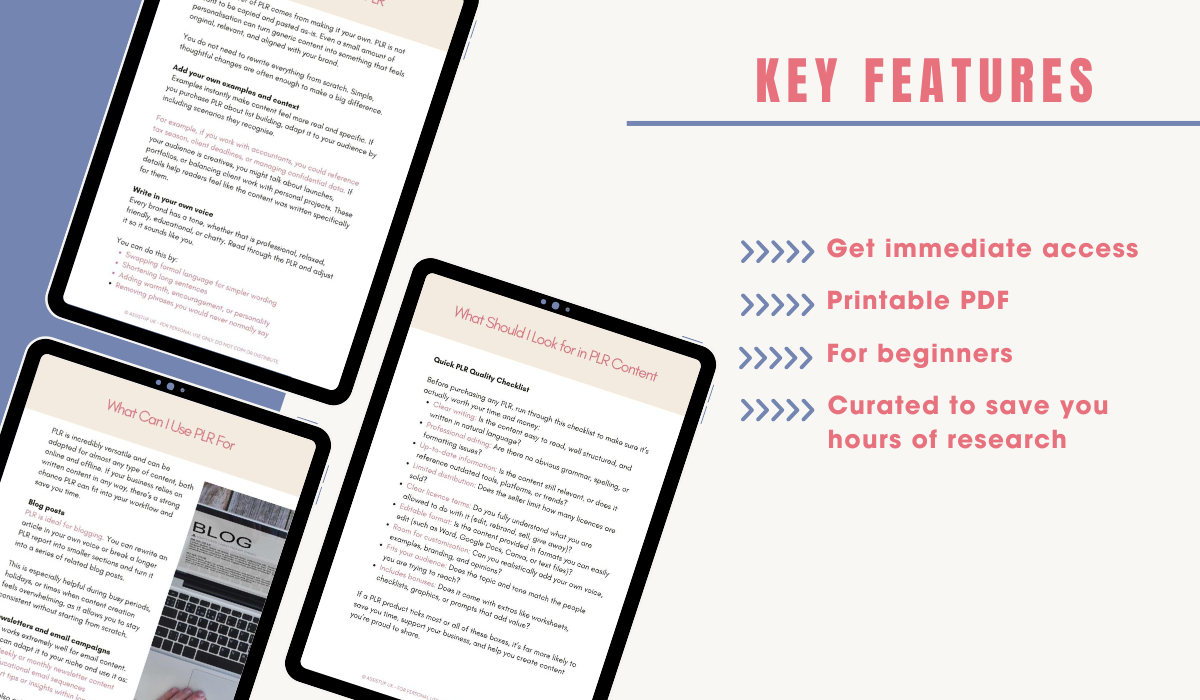 PLR Made Simple – The Success Shortcut for Beginne