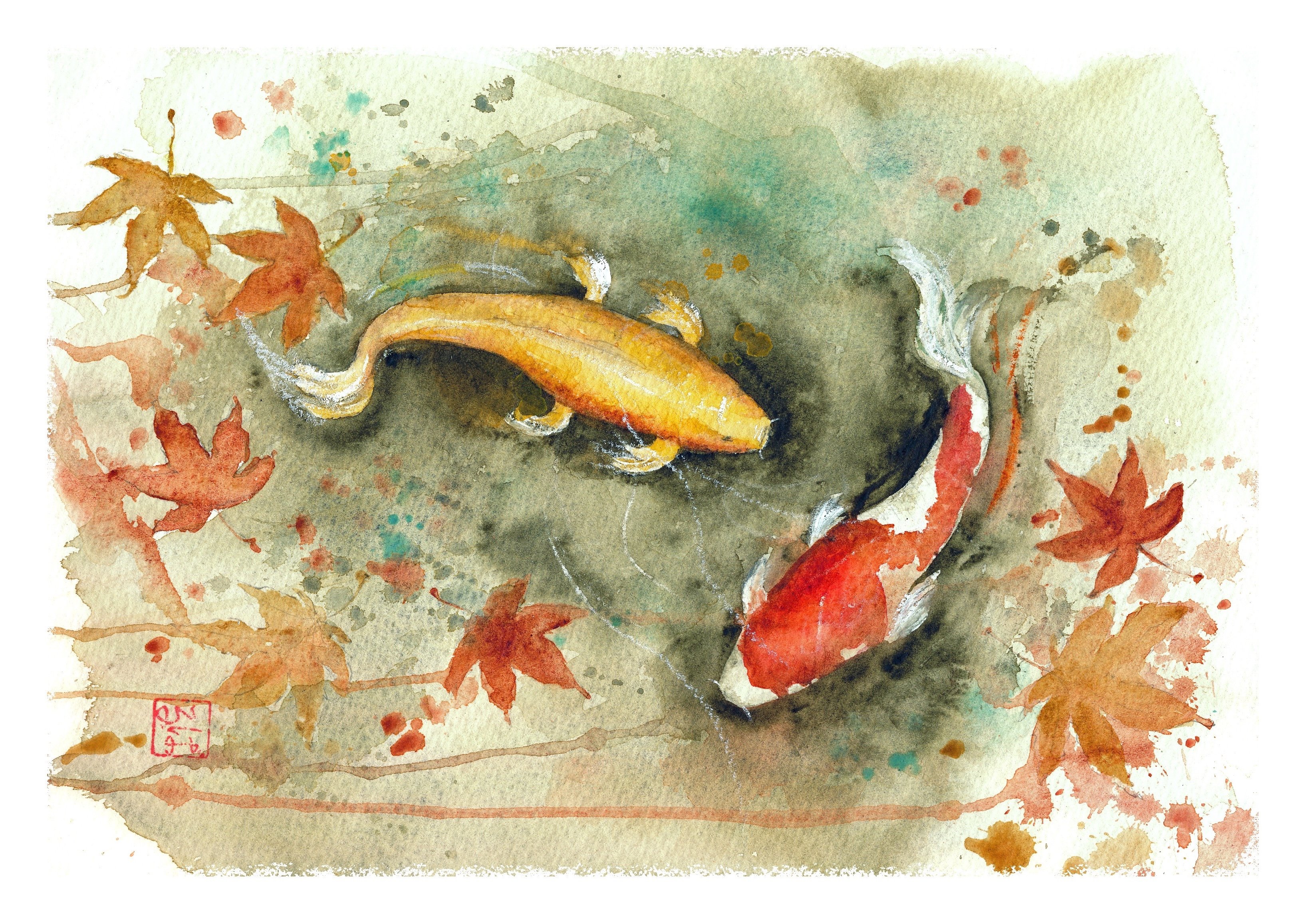 Japanese Koi Fish