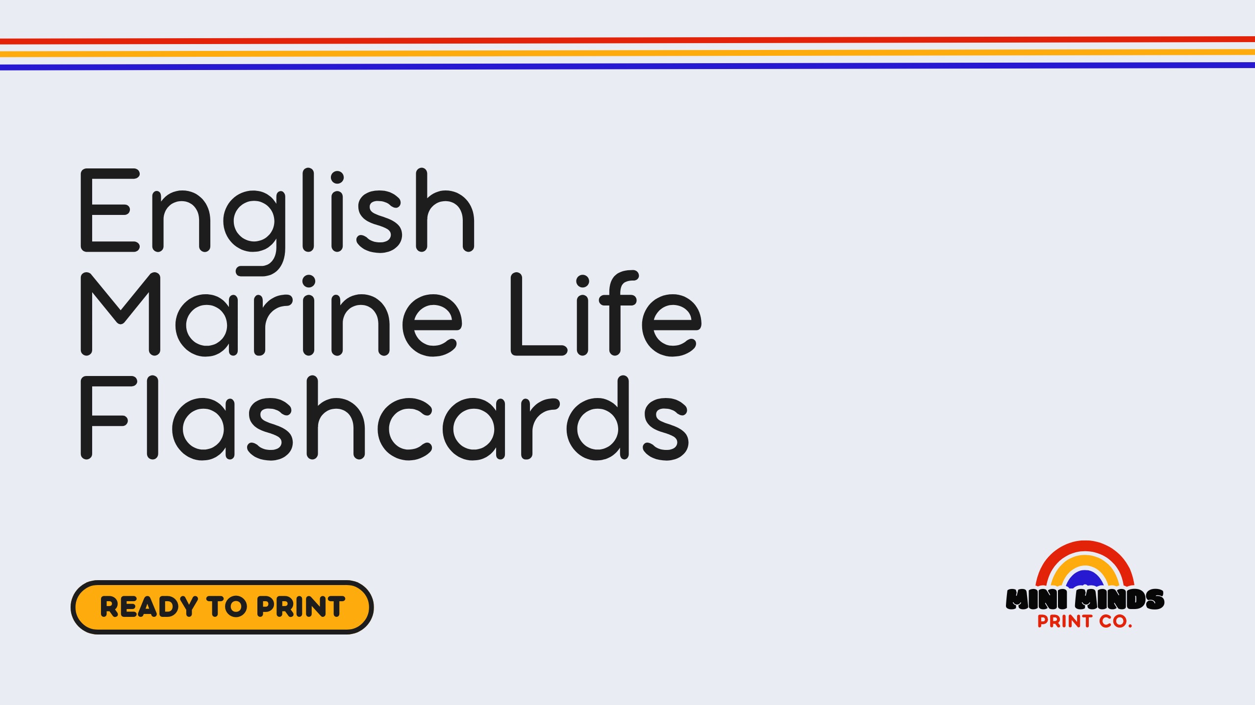 English Marine Life Flashcards