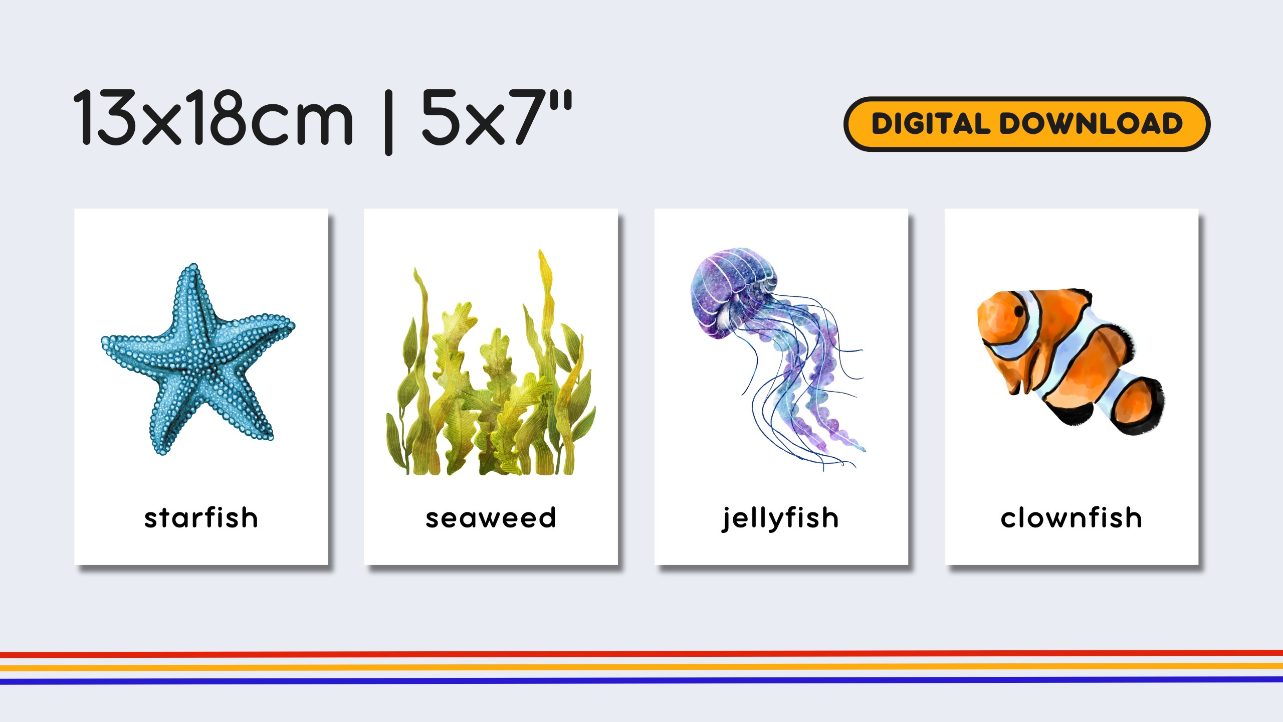 English Marine Life Flashcards