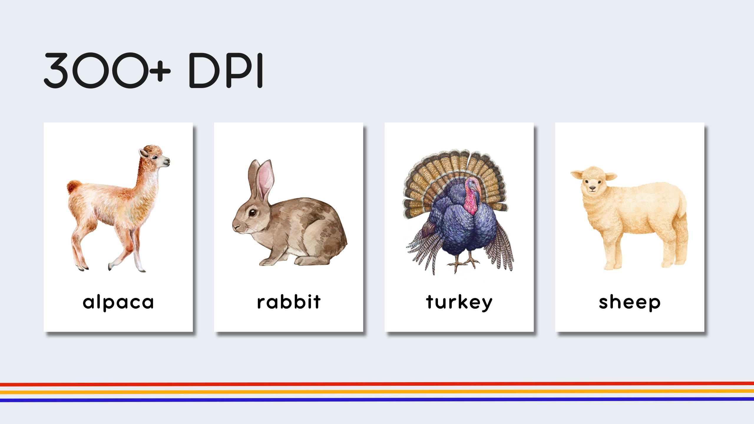 English Farm Animals Flashcards