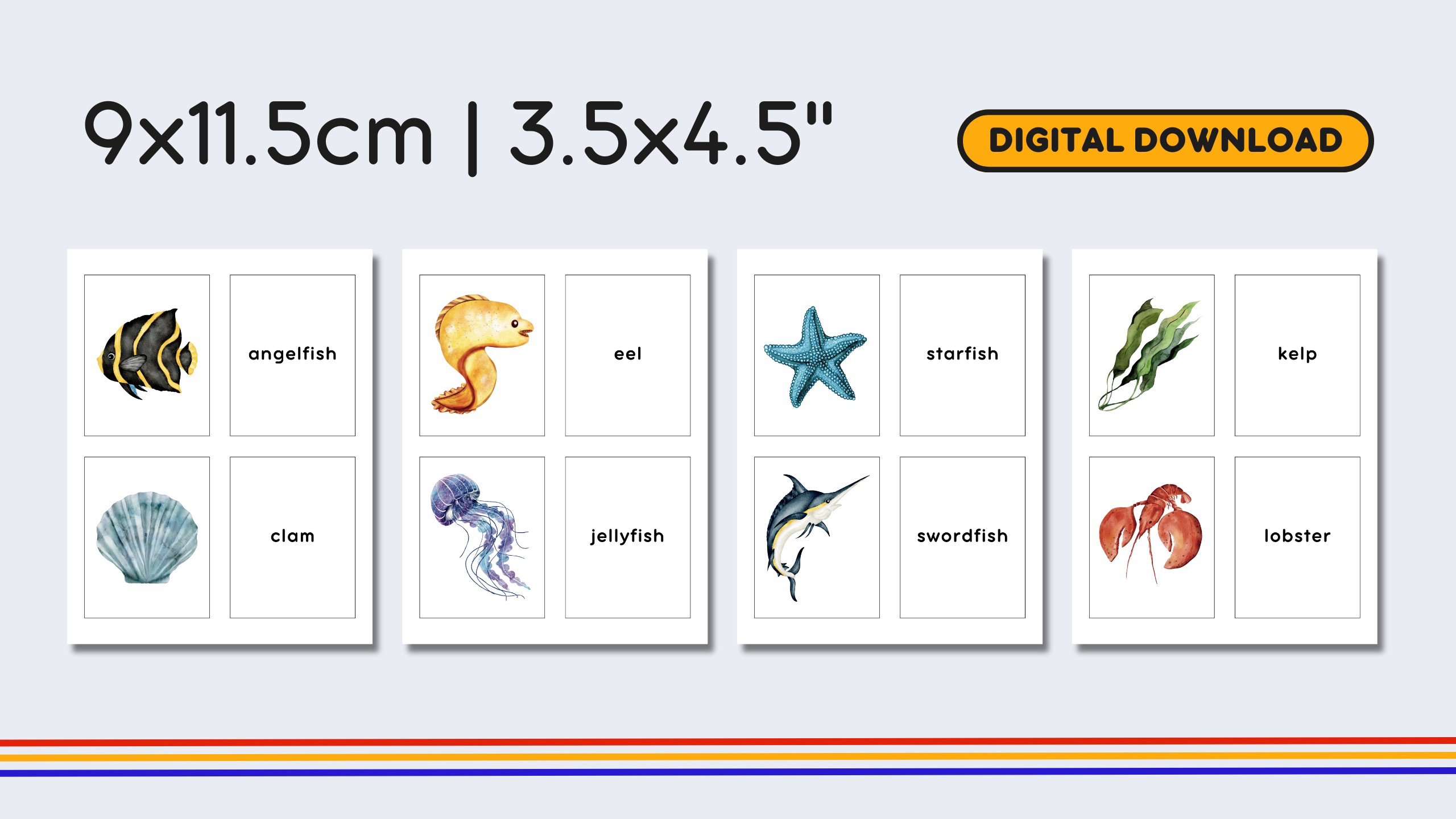 English Marine Life Flashcards