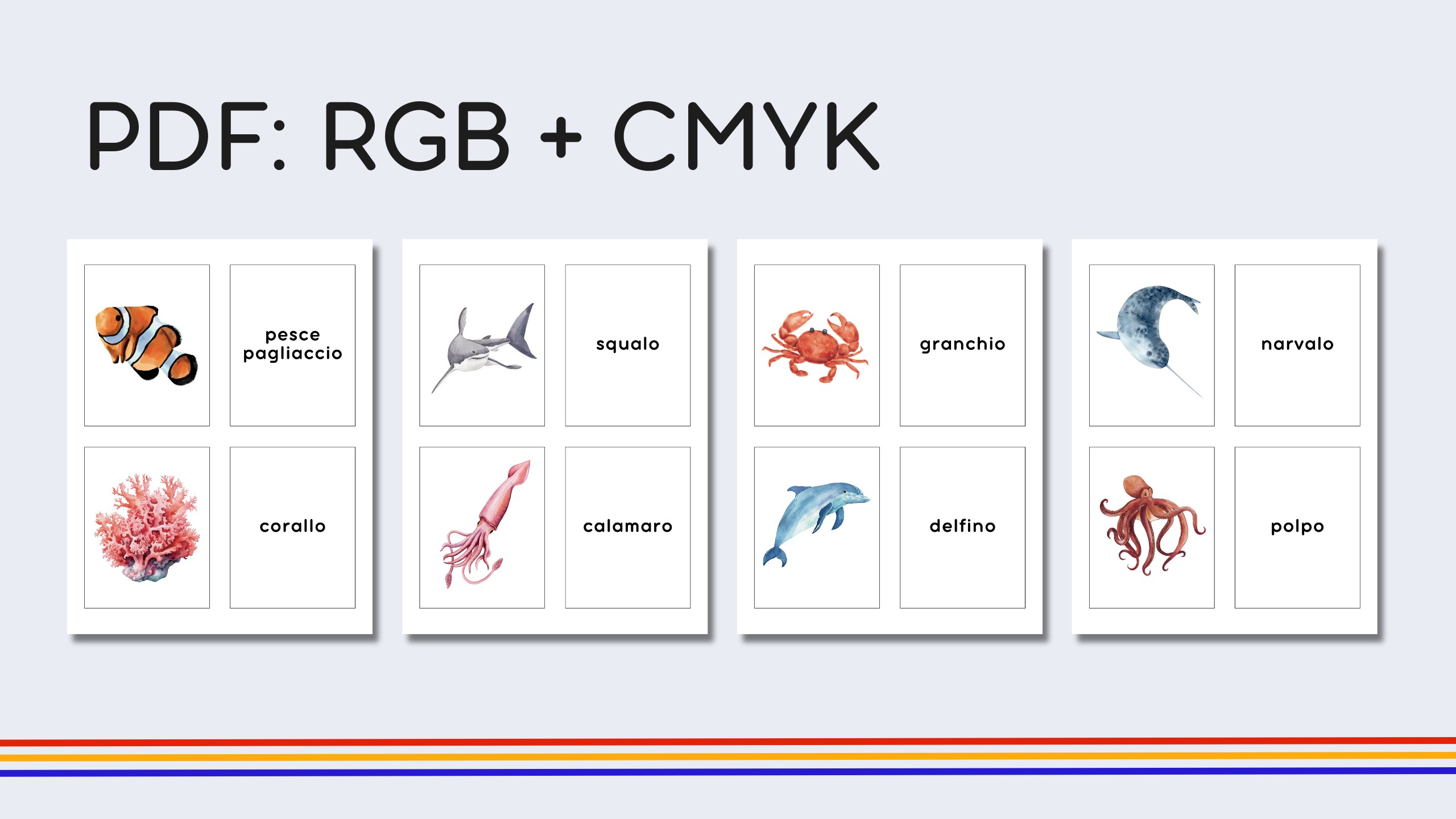 Italian Marine Life Flashcards