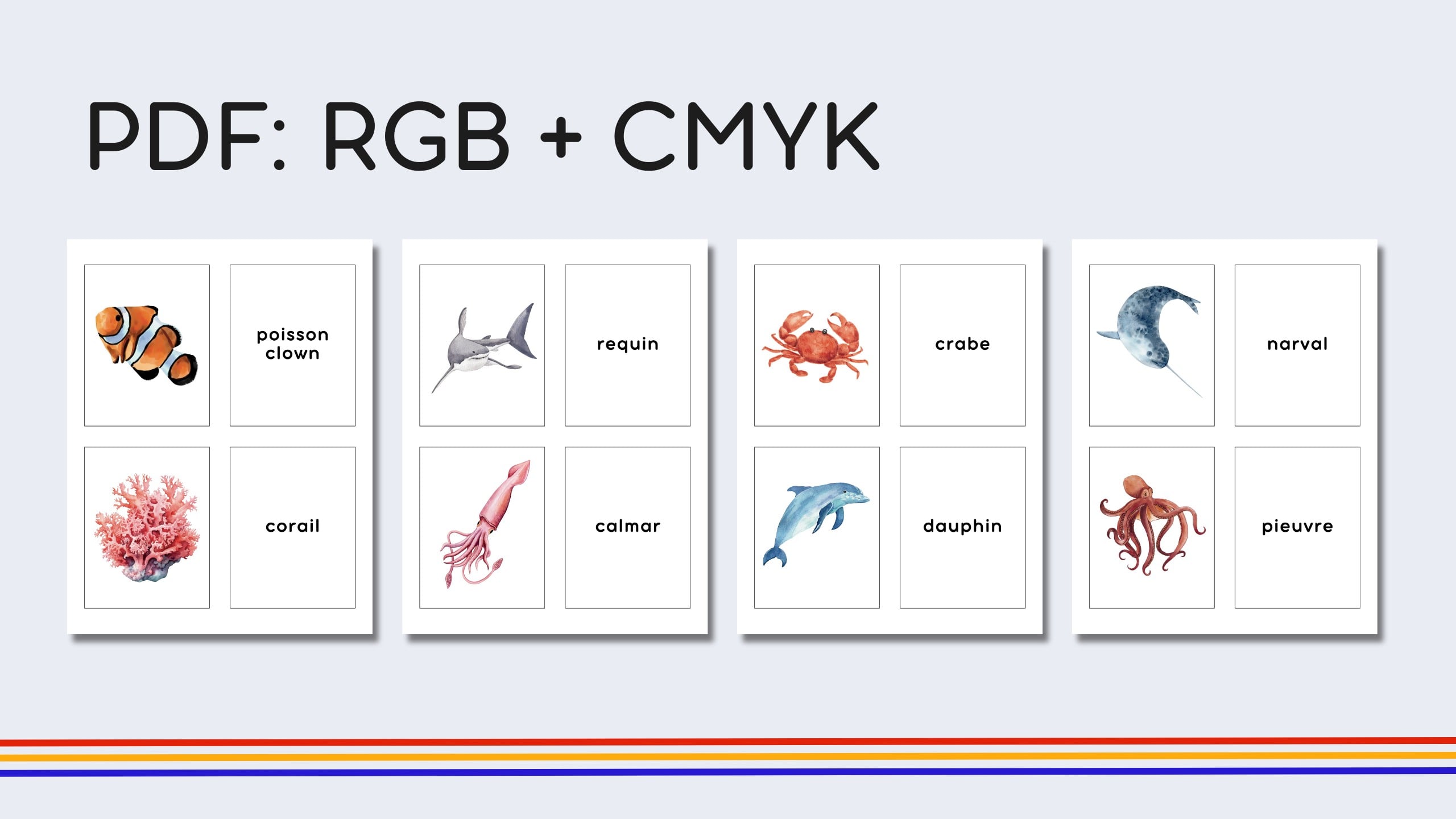 French Marine Life Flashcards