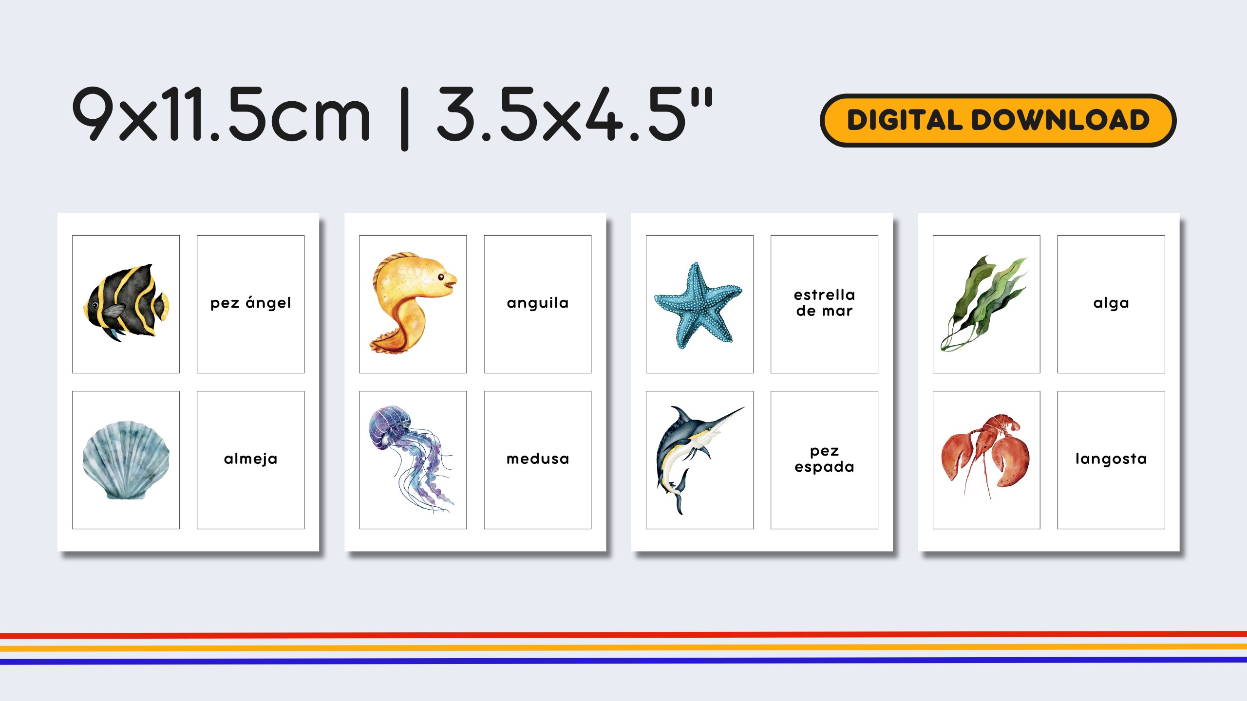 Spanish Marine Life Flashcards