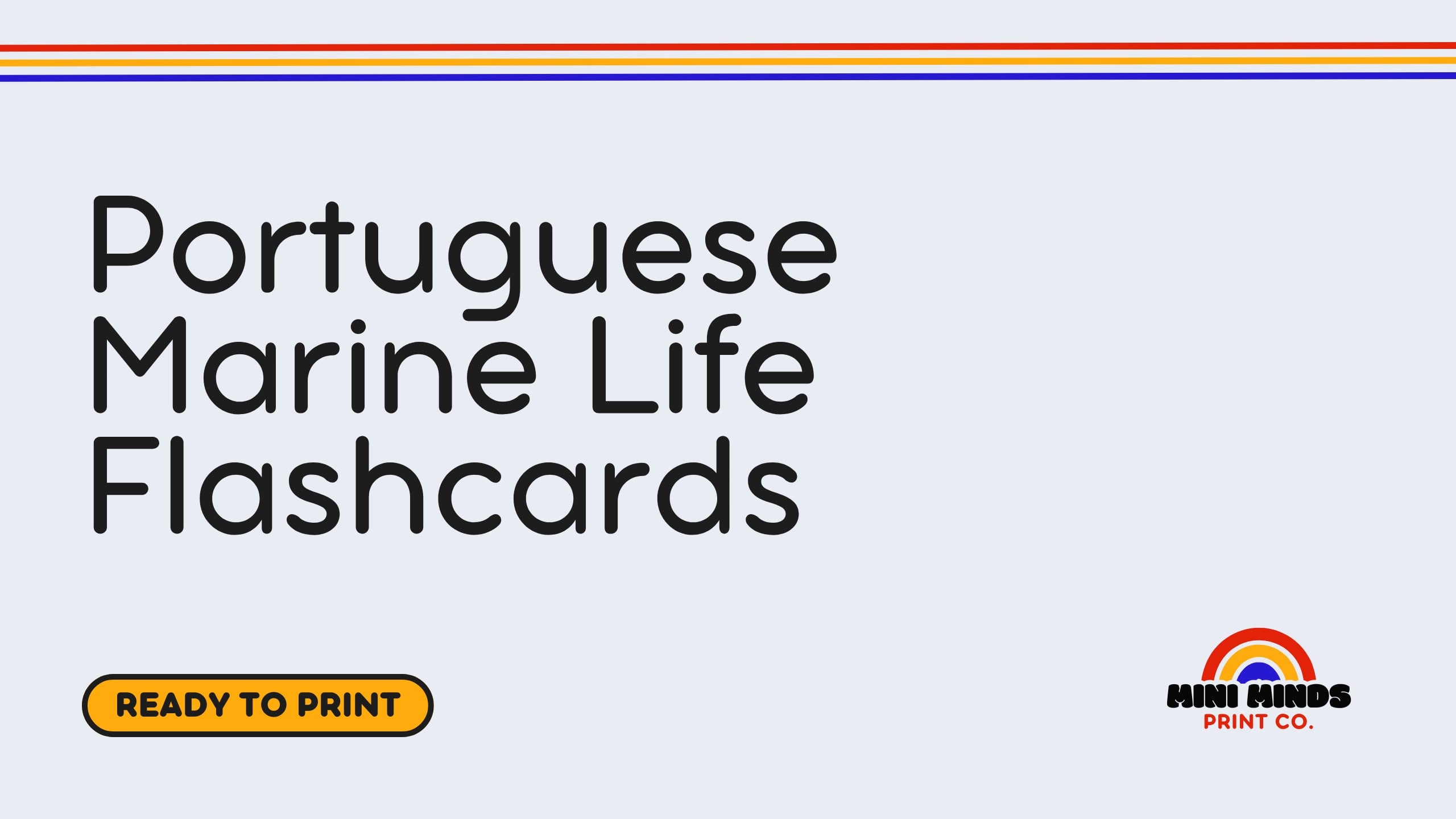 Portuguese Marine Life Flashcards