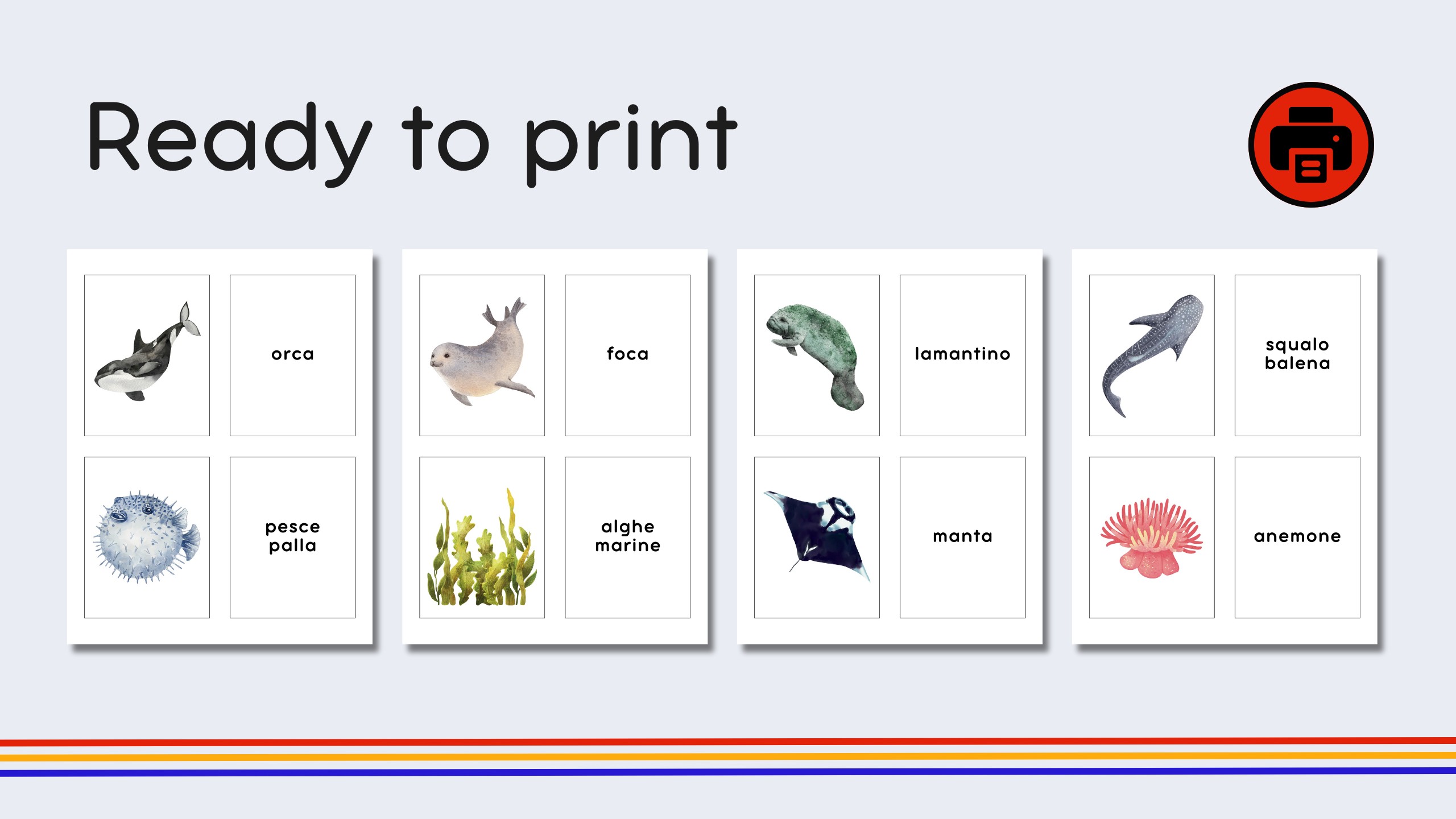 Italian Marine Life Flashcards