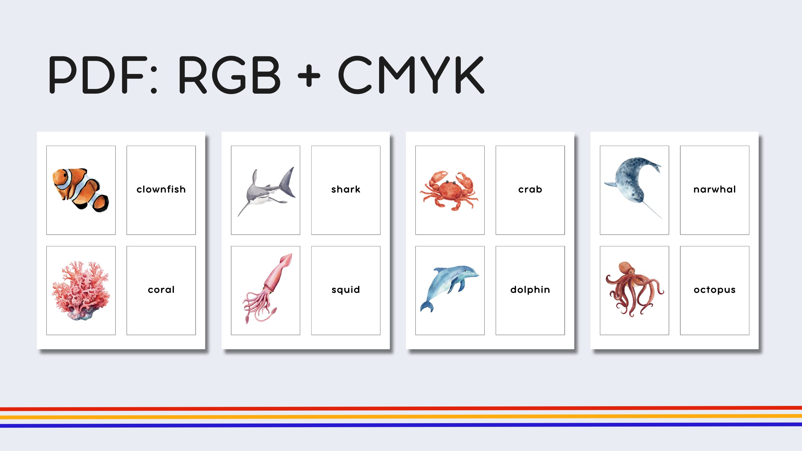 English Marine Life Flashcards