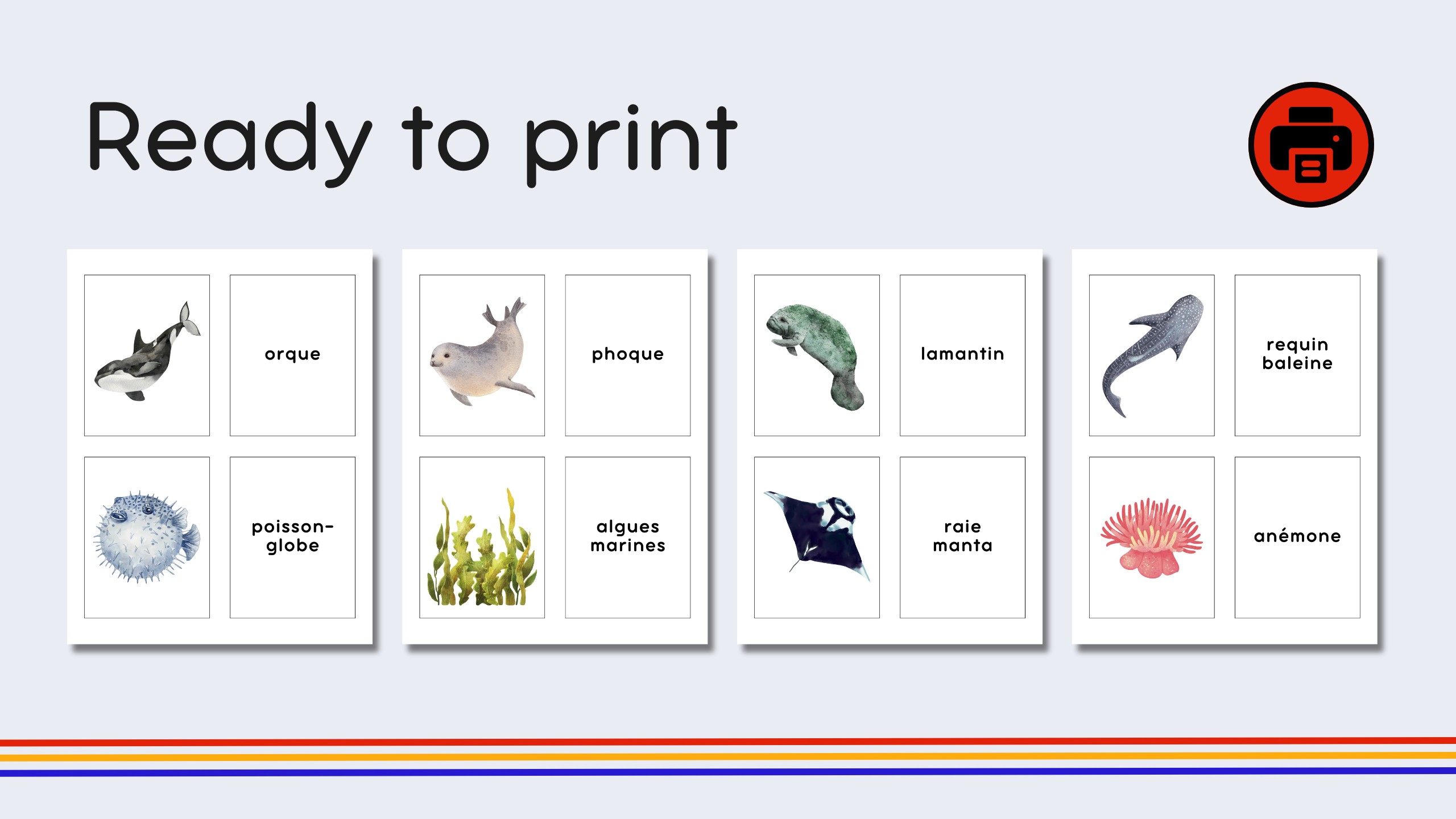 French Marine Life Flashcards