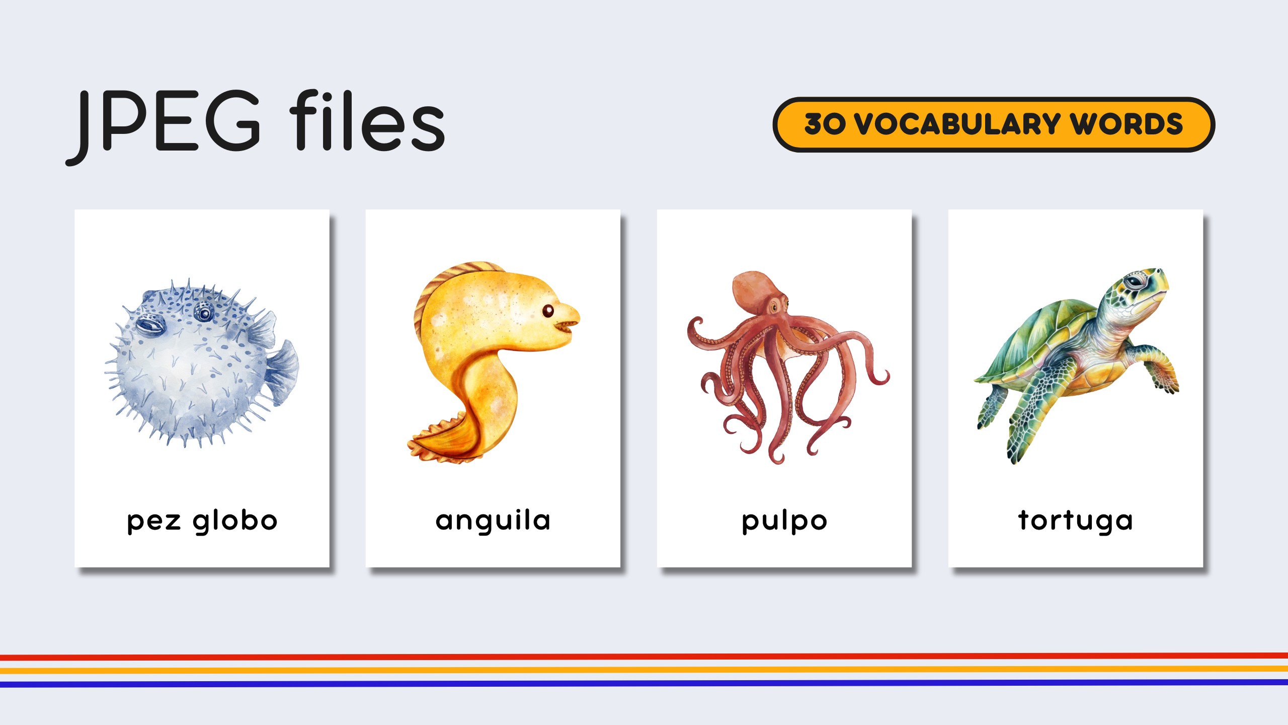 Spanish Marine Life Flashcards