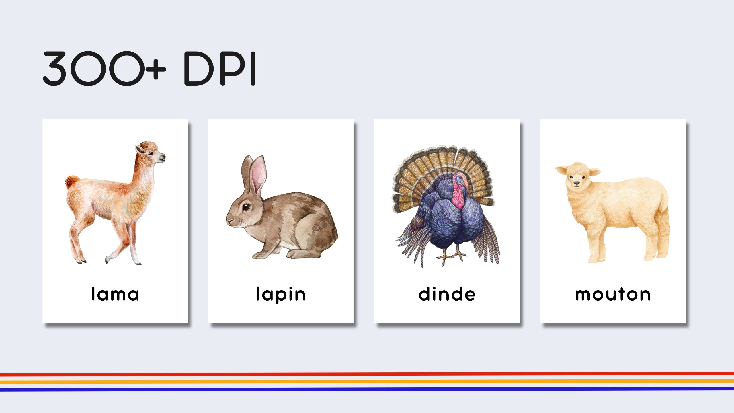 French Farm Animals Flashcards