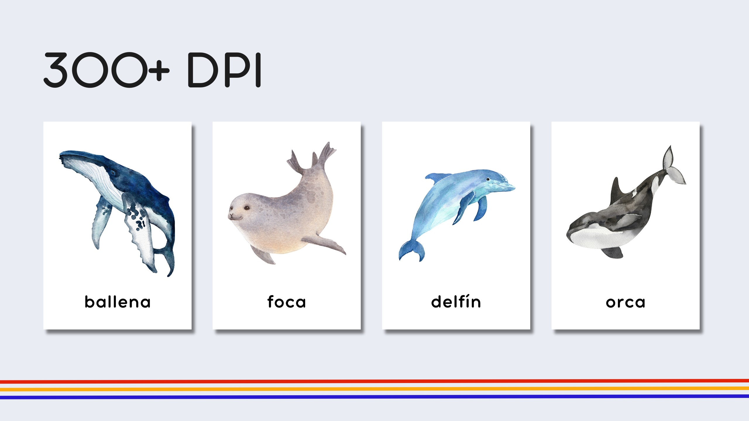 Spanish Marine Life Flashcards