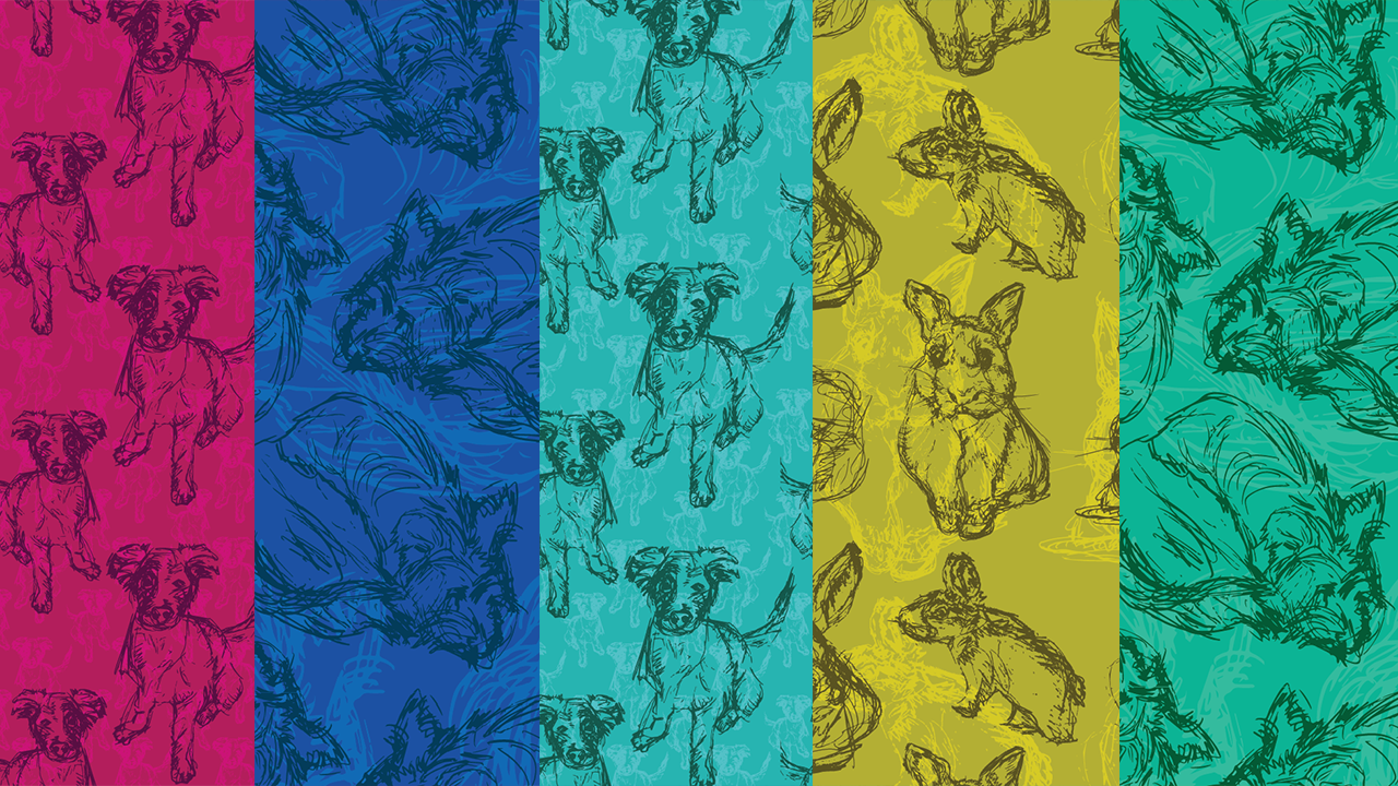 Pet Collection Pattern Printables