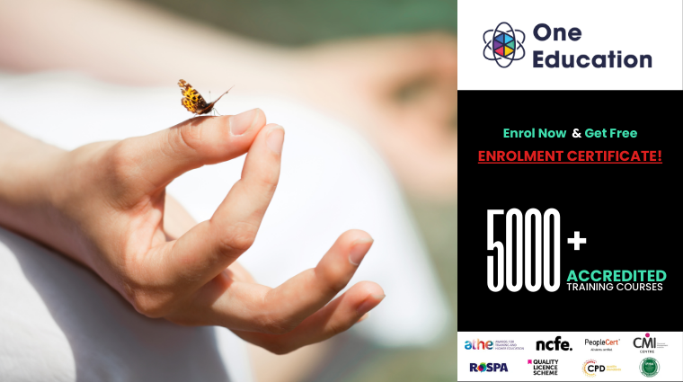 Mindfulness for Everyday Life