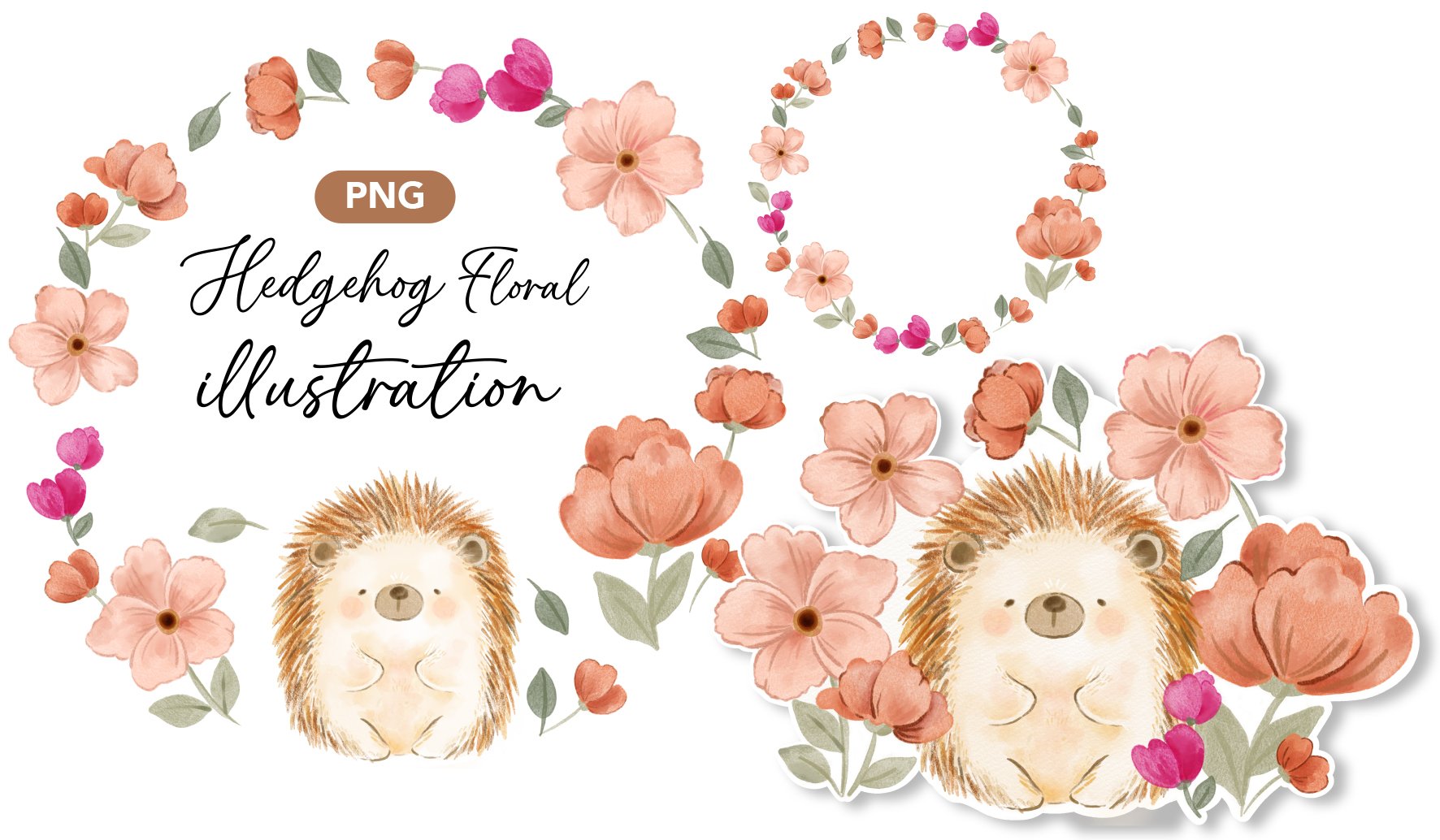 watercolour flower cute hedgehog