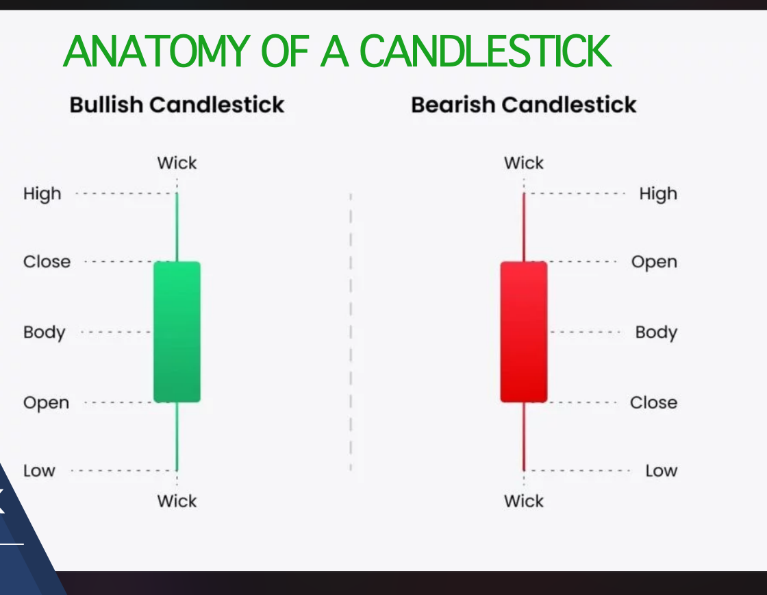 INTRODUCTION TO PRICE ACTION: Candlestick Anatomy