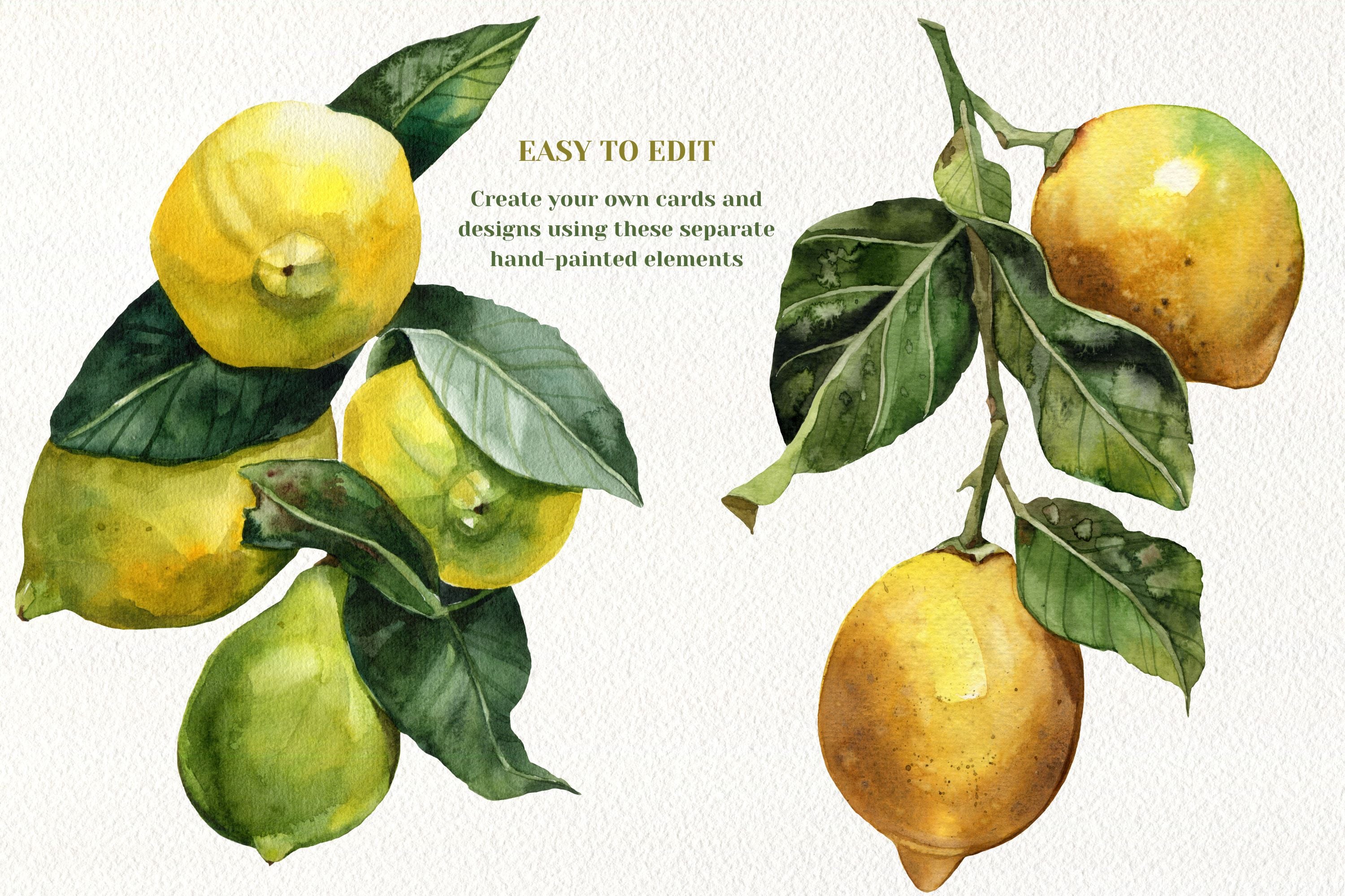 Watercolor Juicy Hand-Painted Lemons Clipart