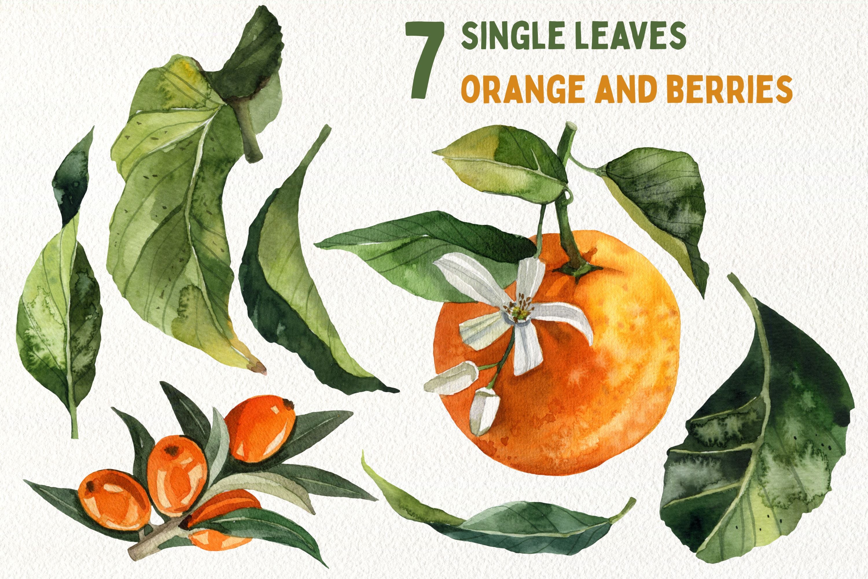 Watercolor Juicy Hand-Painted Lemons Clipart