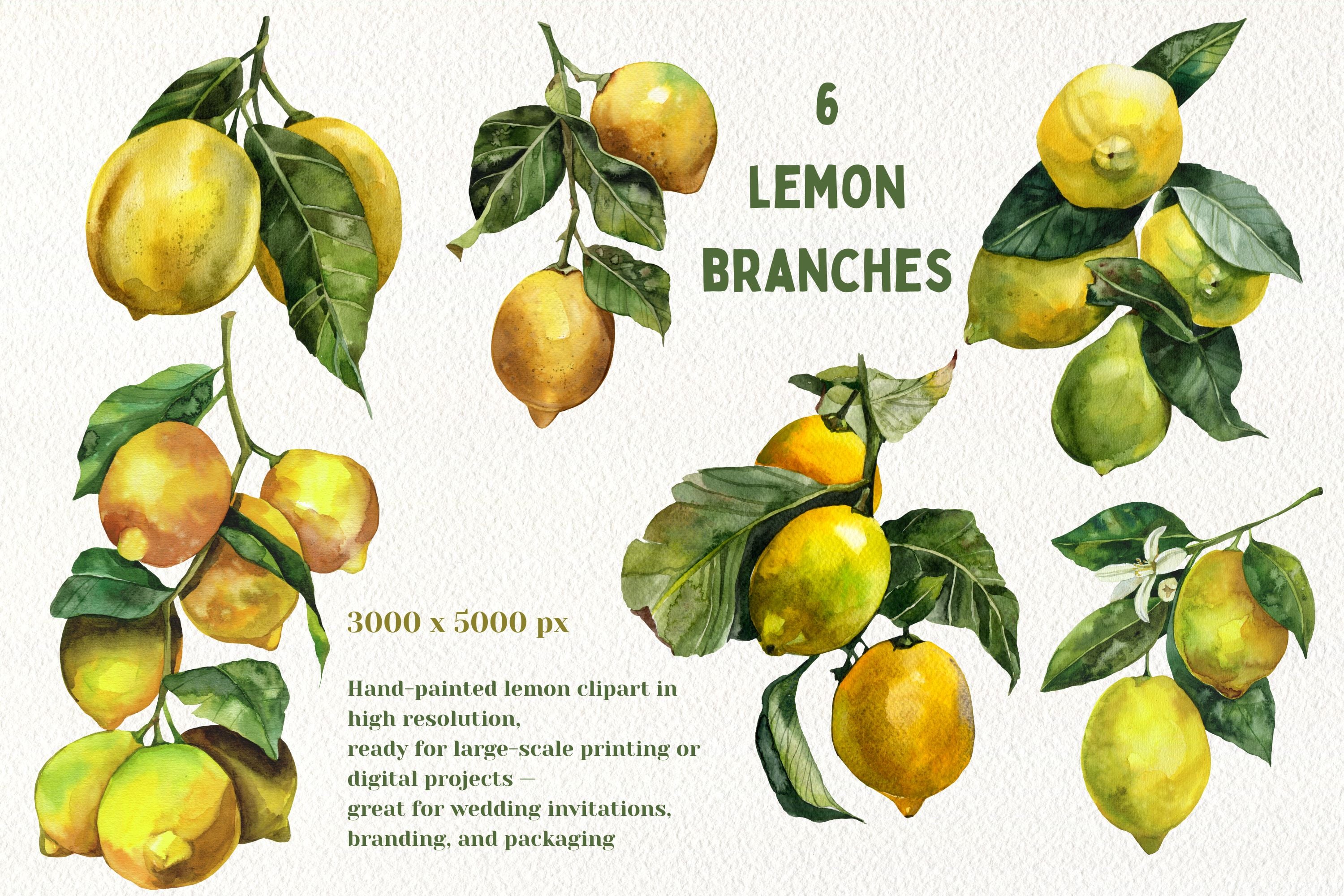 Watercolor Juicy Hand-Painted Lemons Clipart