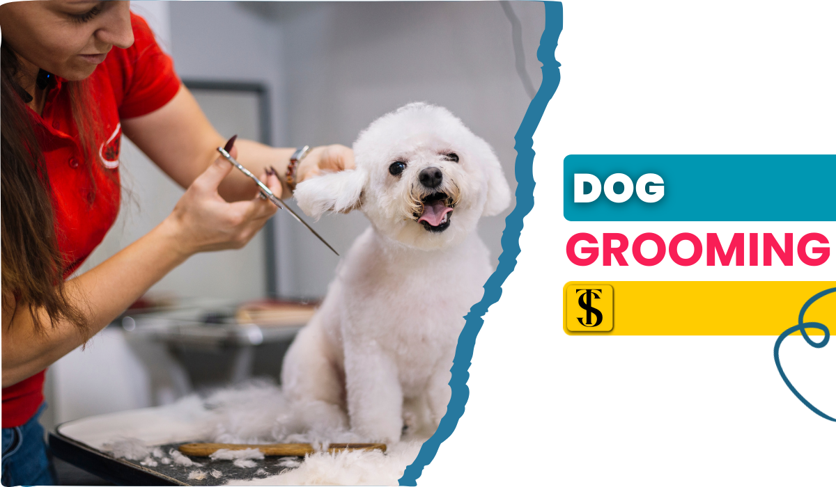 Dog Grooming A-Z Buy Educational Products Skillshare