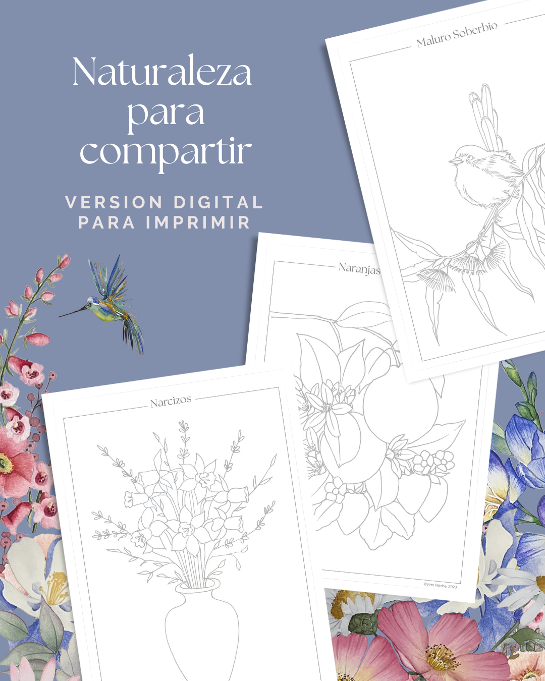 Nature to share - Botanic illustrations to paint
