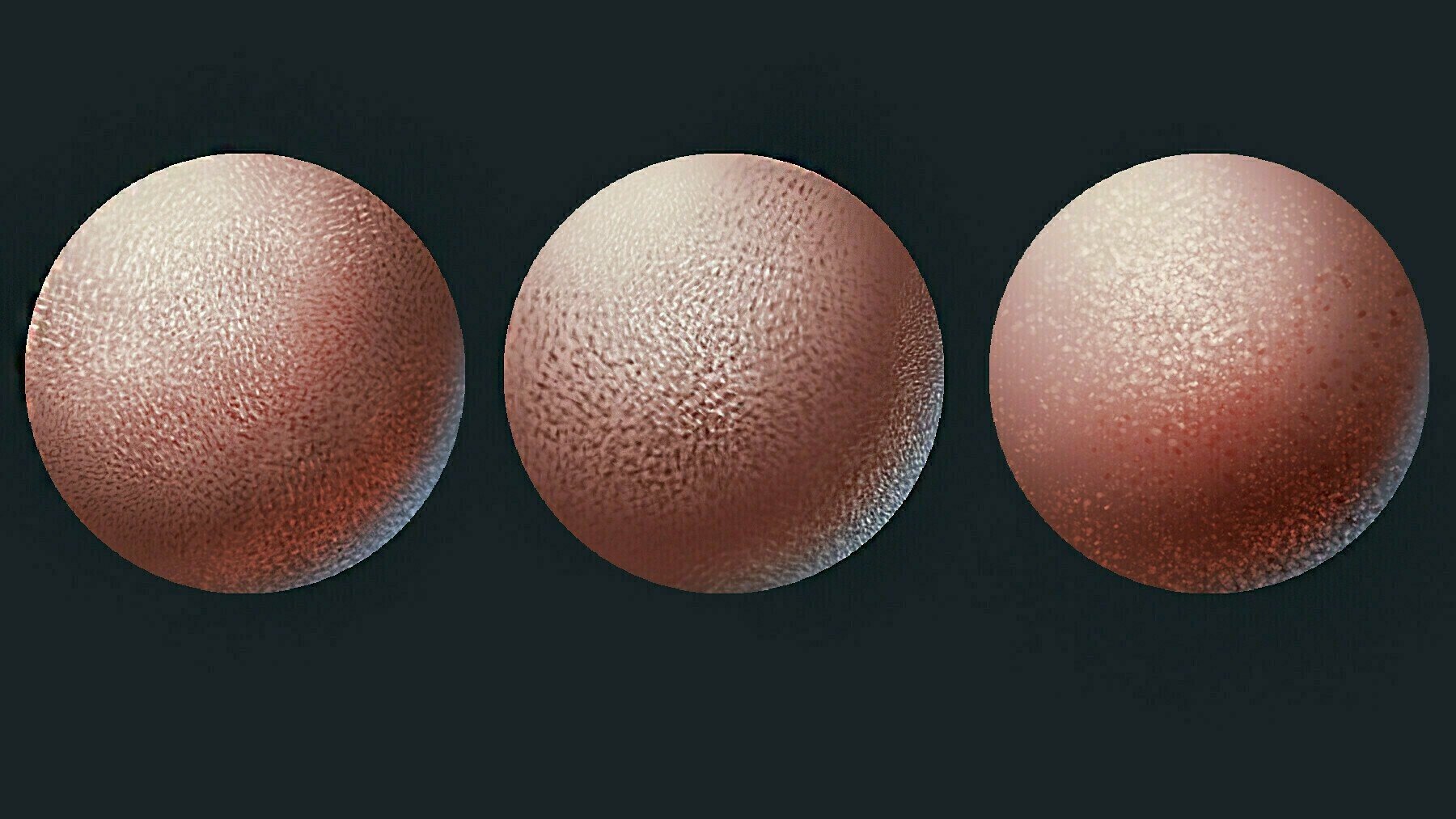 Skin Brushes for Photoshop and Procreate