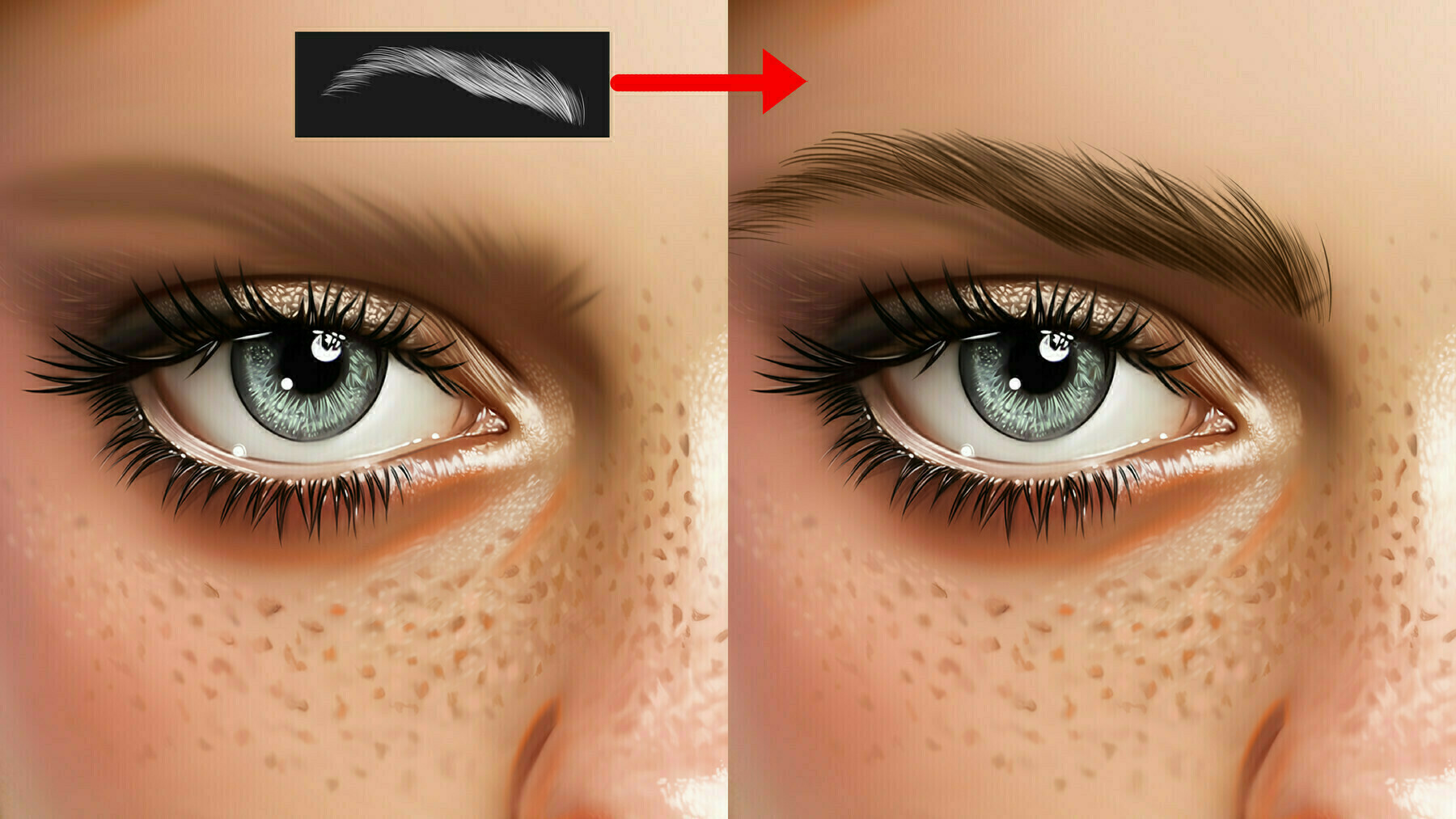 Eyelash/Eyebrow Brushes for Photoshop and Procreat