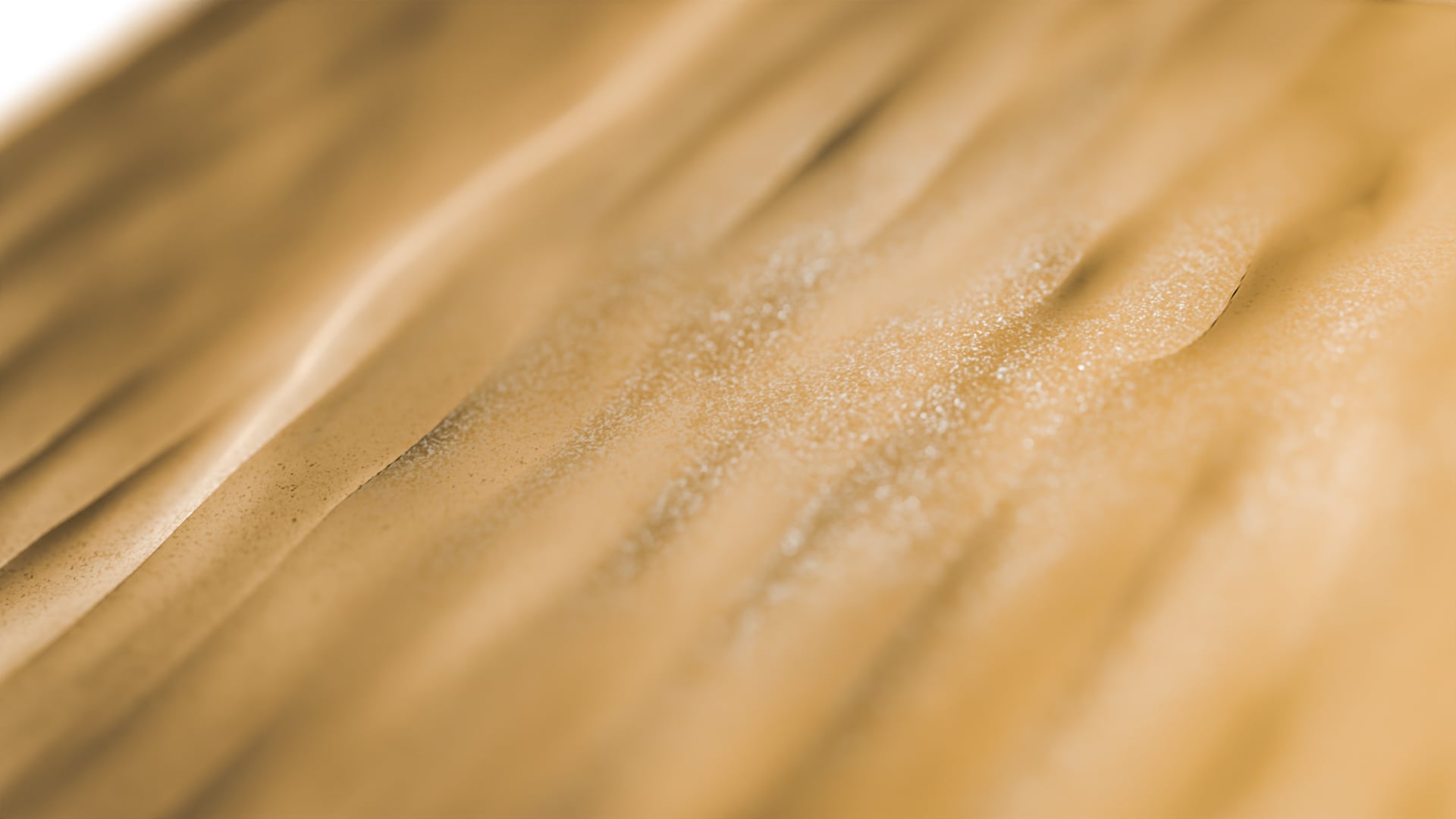 Beach Waves Whitewater 3D Models Pack
