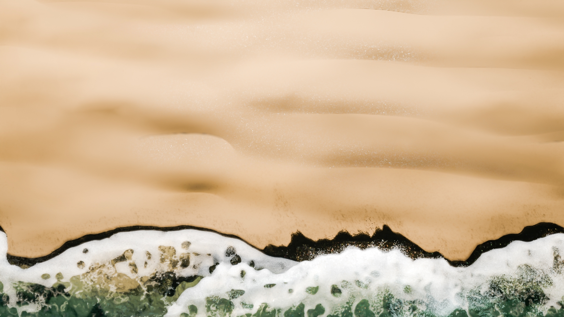Beach Waves Whitewater 3D Models Pack