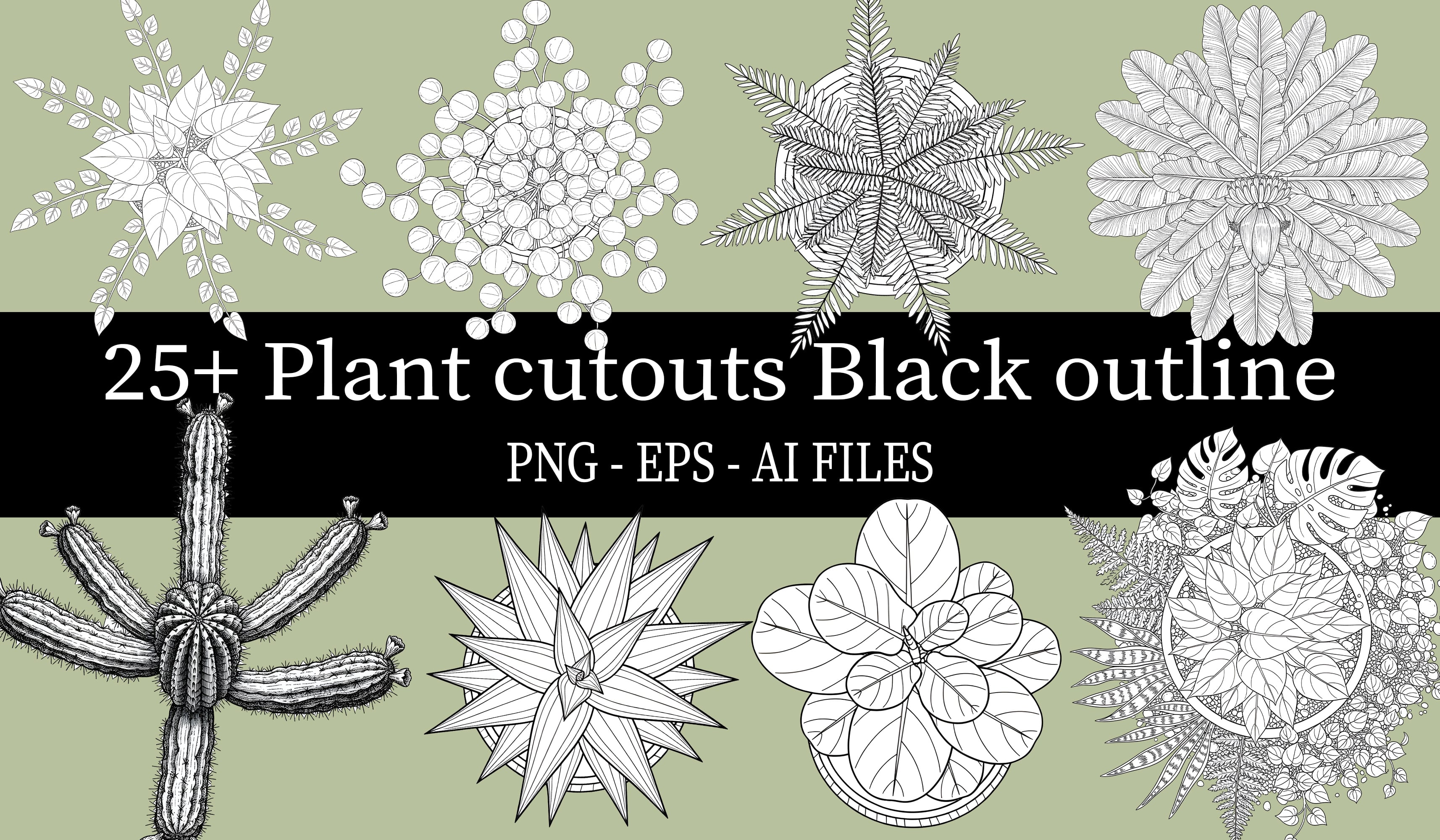 Botanical Plant Cutouts Bundle | Black Outline PNG