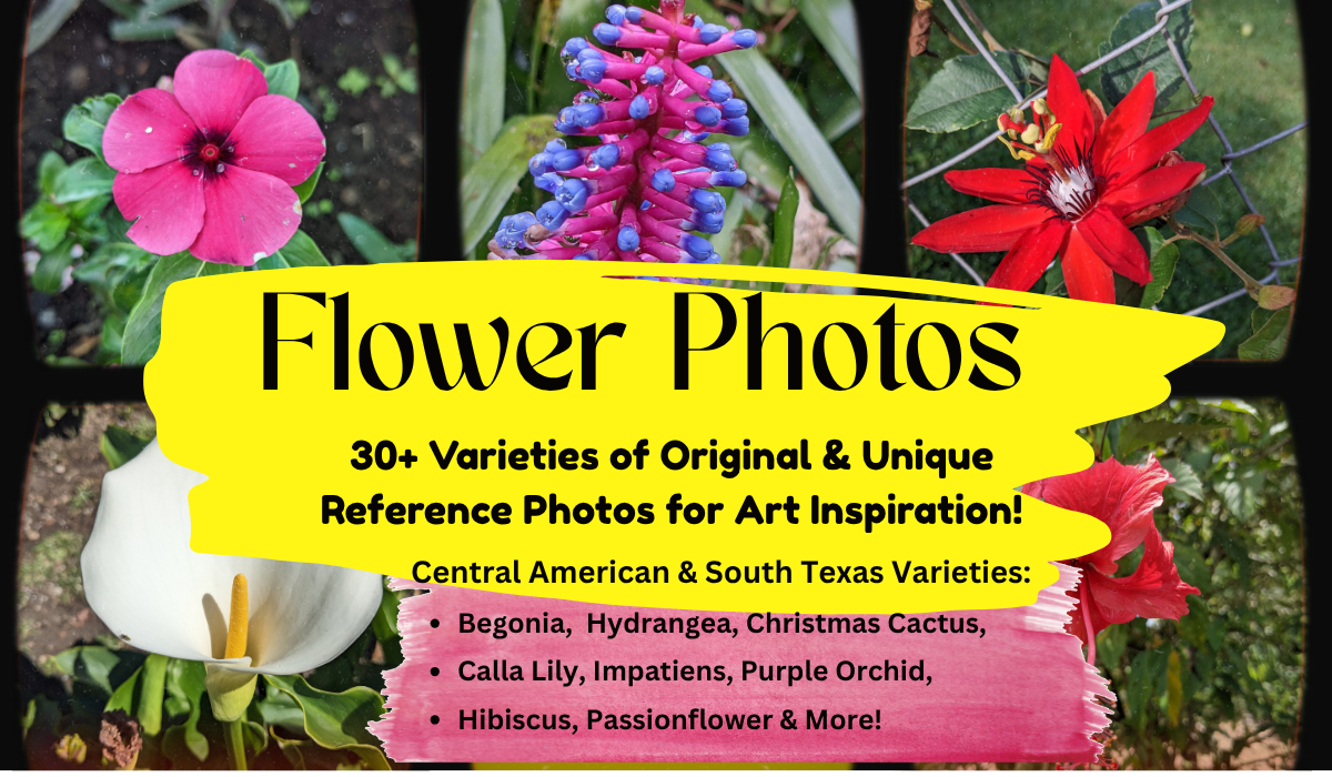 Tropical Flower Reference Photos 🌻🌺🌸