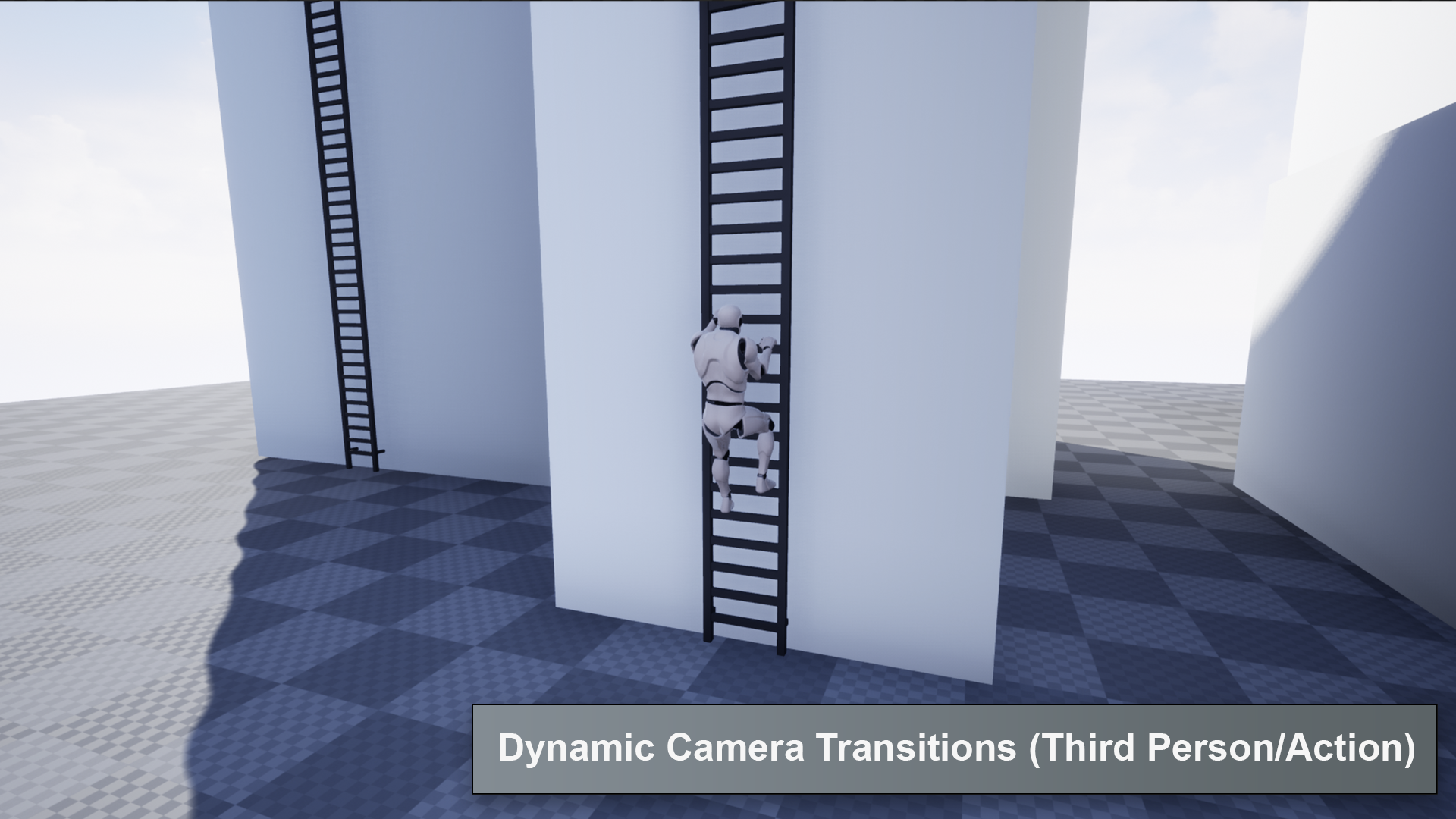 Ladder System