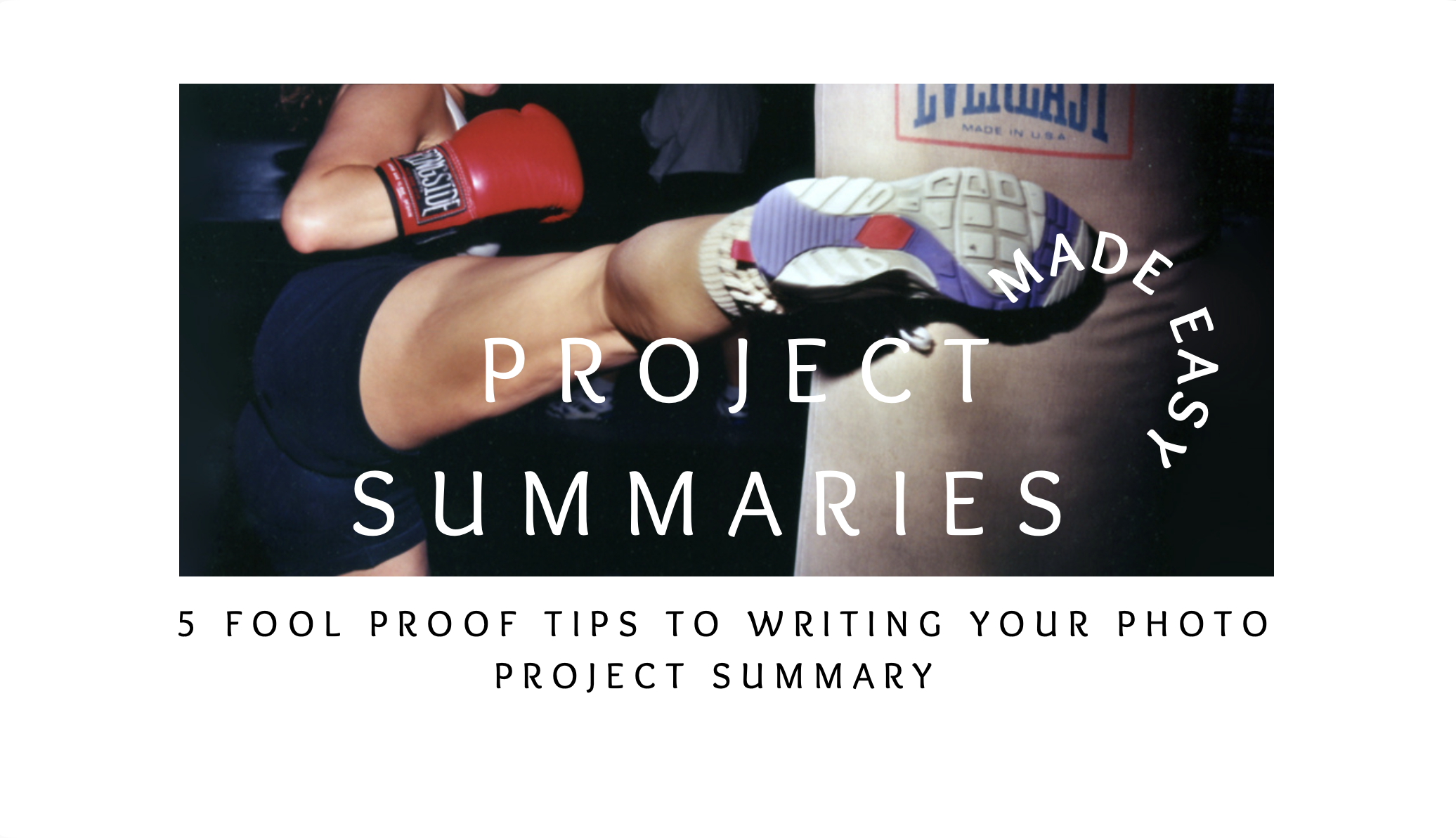 PROJECT SUMMARIES MADE EASY