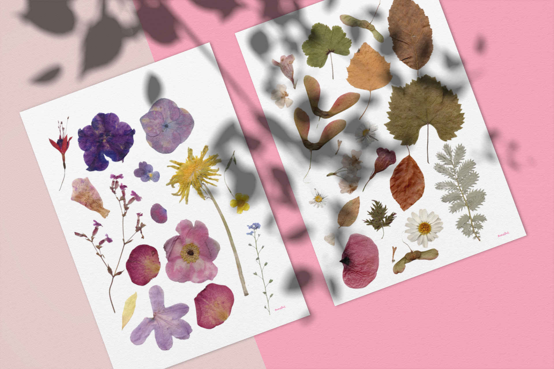 Printable Dried Flowers for Collage & Art
