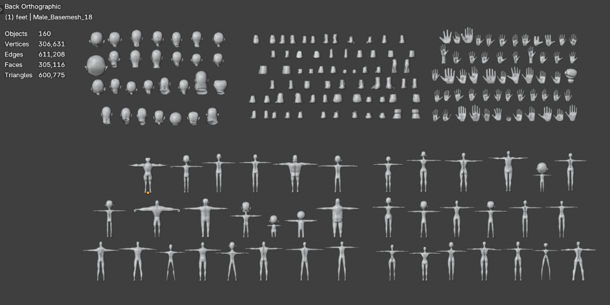 150+ Base Mesh Library Hands, Feet & Full Body