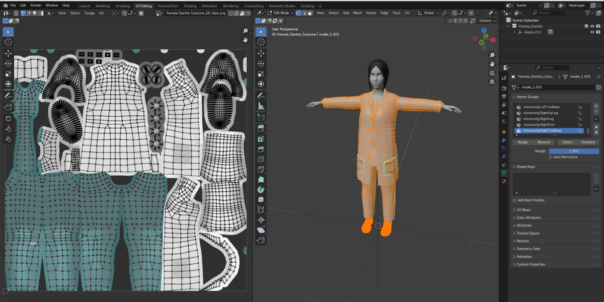 Female Dentist Medical Professional for Animation
