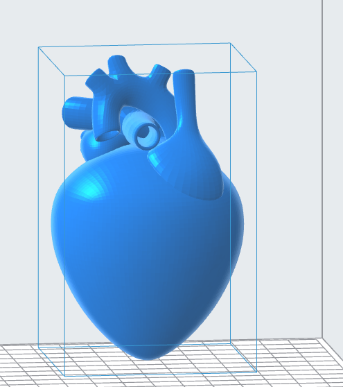 Human Heart 3D Model – Instant Download