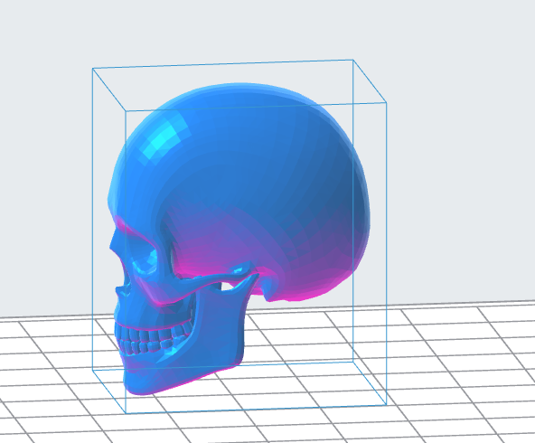 Human Skull 3D Model – Instant Download 