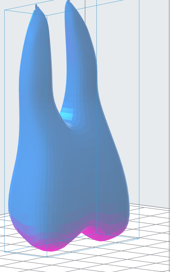 Tooth Anatomy Scheme 3D Model