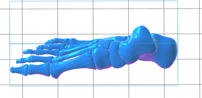 Human Right Foot 3D Model – Instant Download