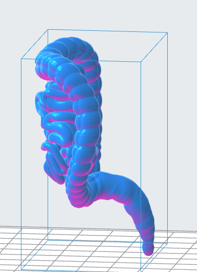 Human Intestines 3D Model