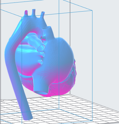 Human Heart 3D file – Instant Download 