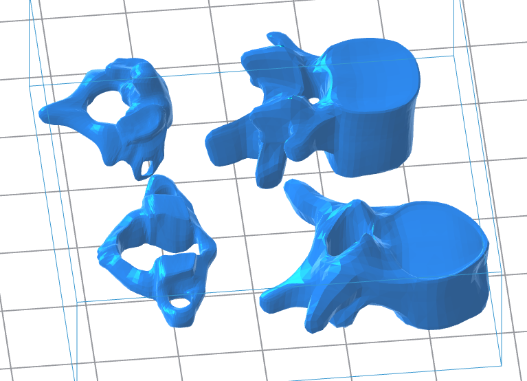 Stylized Human Vertebrae 3D Model