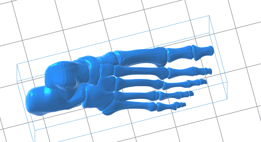 Human Left Foot 3D Model – Instant Download