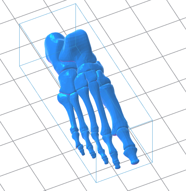 Human Right Foot 3D Model – Instant Download
