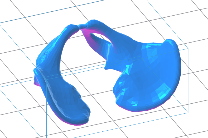 Human Pelvis 3D Model – Instant Download