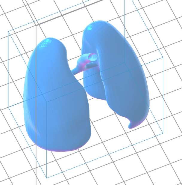 Human Lungs 3D Model – Instant Download