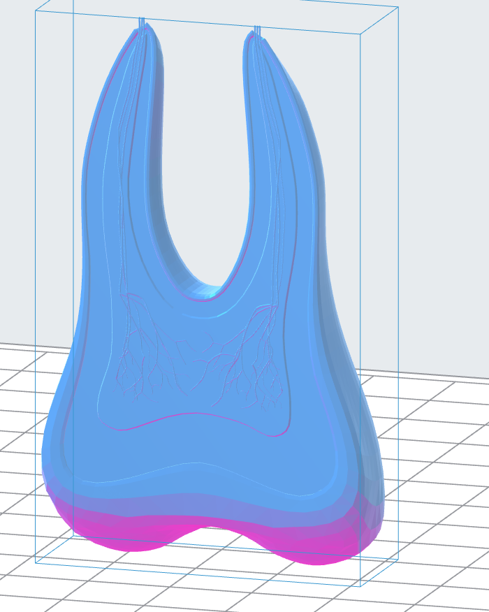 Tooth Anatomy Scheme 3D Model