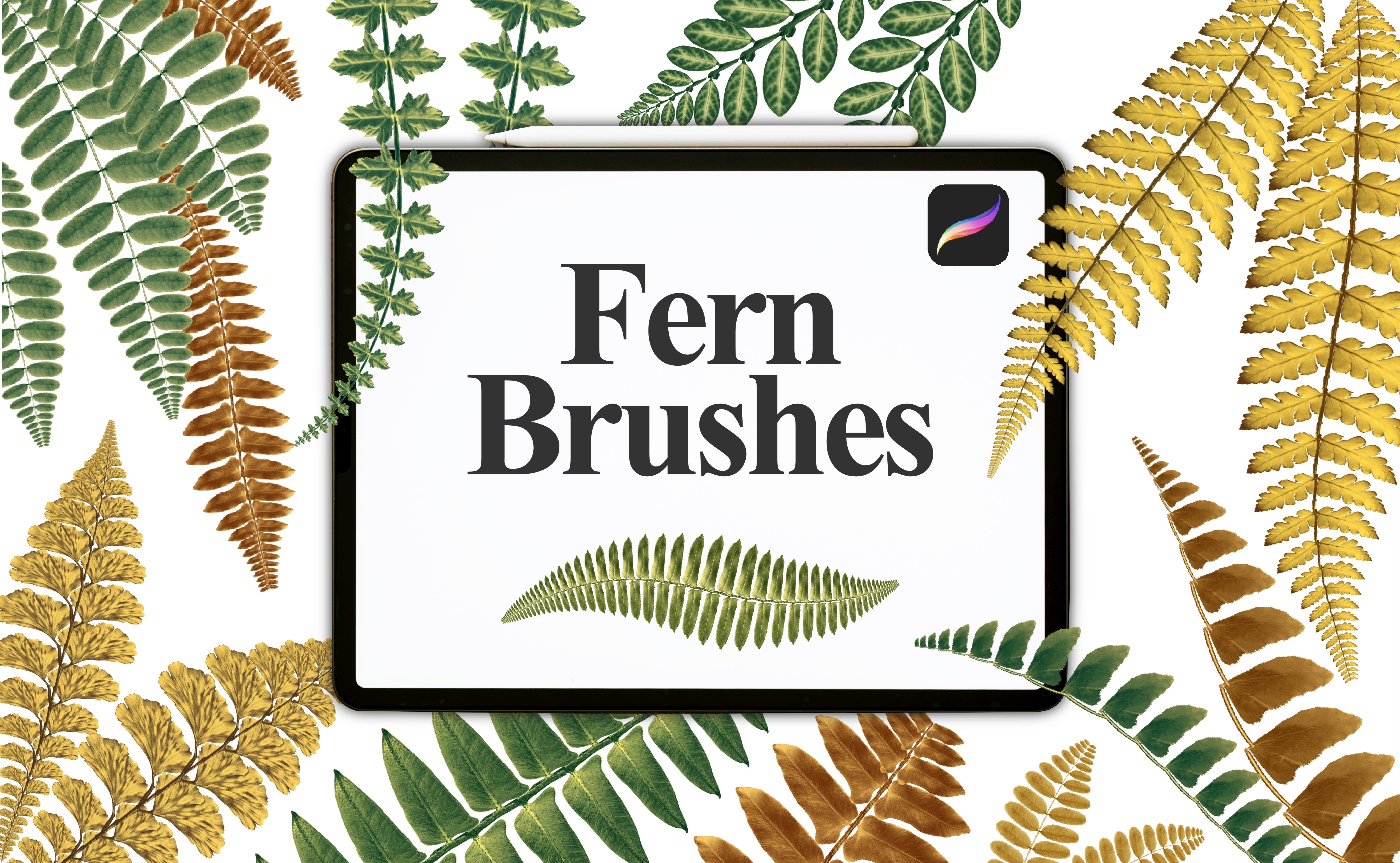 Procreate Fern Dual Colour Brushset