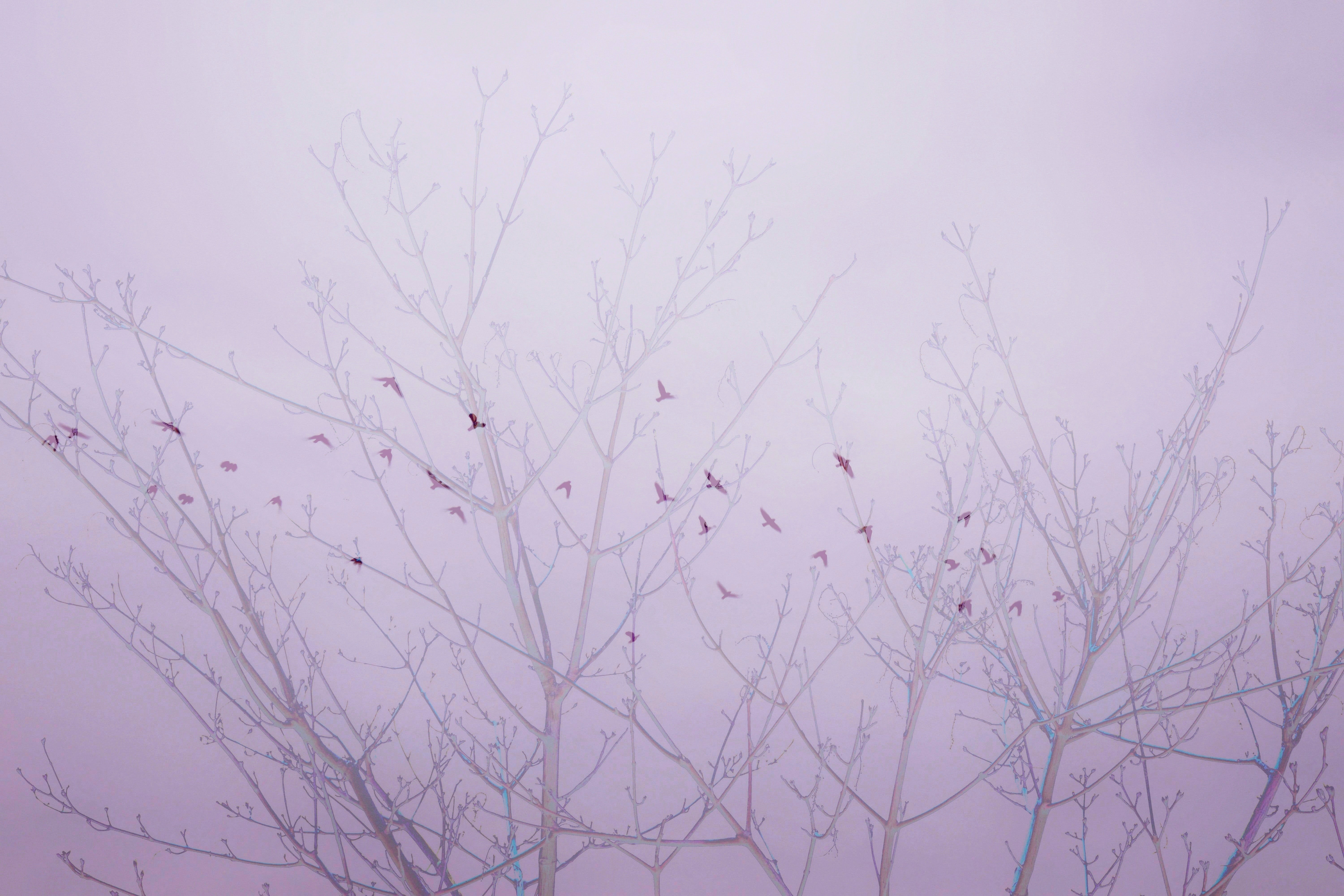A Murmuring Of The Soul | Screensavers & Small Prints